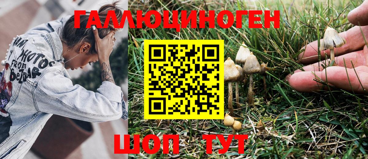 Псилоцибиновые грибы GOLDEN TEACHER  Вход с VPN  Пенза 